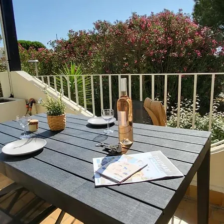 Terrasse Quai Du Port De Plaisance